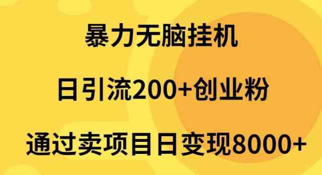（9788期）暴力无脑挂机日引流200+创业粉通过卖项目日变现2000+-网创汇