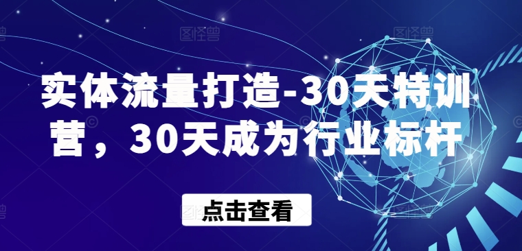 实体流量打造-30天特训营，30天成为行业标杆-网创汇