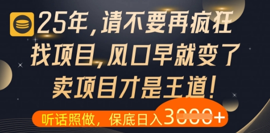 什么？25年你还在疯狂找项目做，醒醒吧，看完这些你全都懂了【揭秘】-网创汇