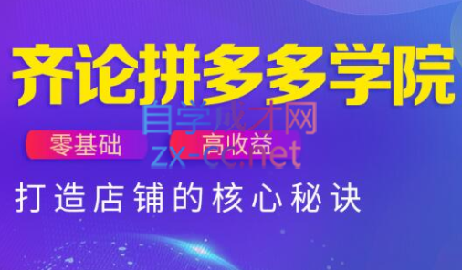 齐论拼多多vip课程-网创汇