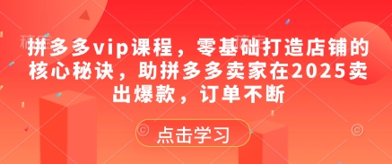 拼多多vip课程，零基础打造店铺的核心秘诀，助拼多多卖家在2025卖出爆款，订单不断-网创汇