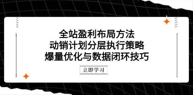 全站盈利布局方法：动销计划分层执行策略，爆量优化与数据闭环技巧-网创汇