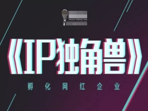 IP独角兽，孵化网红企业，ip教程-网创汇