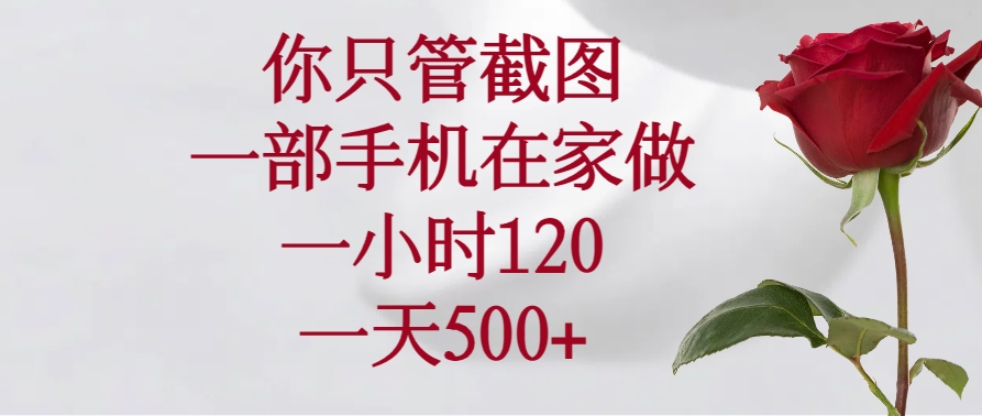 （14248期）你只管截图，一部手机在家做，一小时120，一天500+-网创汇
