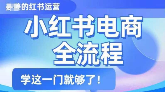 小红书电商全流程，精简易懂，从入门到精通，学这一门就够了-网创汇