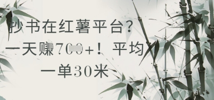抄书在小红薯平台？平均一单30米，一天收益几张！-网创汇