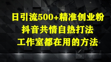 日引流500+精准创业粉，抖音共情自热打法，工作室都在用的方法-网创汇