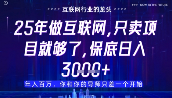 什么！25年你还在找项目做？风口早就变了，卖项目才是稳挣不赔【揭秘】-网创汇