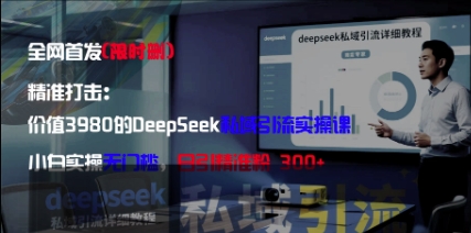 精准打击：价值3980的DeepSeek私域引流实操课，小白实操无门槛，日引精准粉300+-网创汇