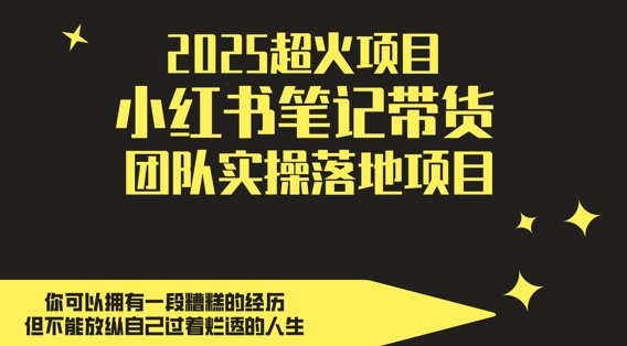 2025超火项目，副业最佳选择，小红书笔记带货团队实操落地项目，，轻松日入5张-网创汇