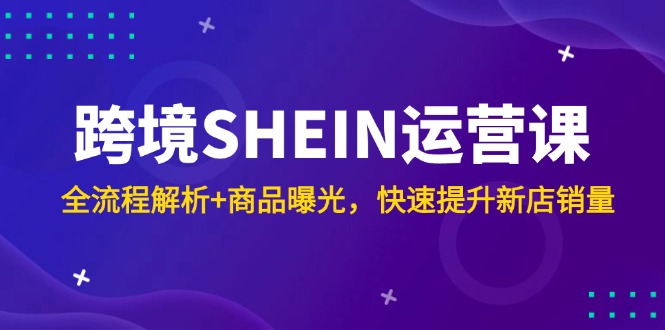 跨境SHEIN运营课，全流程解析+商品曝光，快速提升新店销量-网创汇