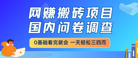 网创搬砖项目，国内问卷调查，小白轻松上手，一天三四张的也不难，干就完了【揭秘】-网创汇