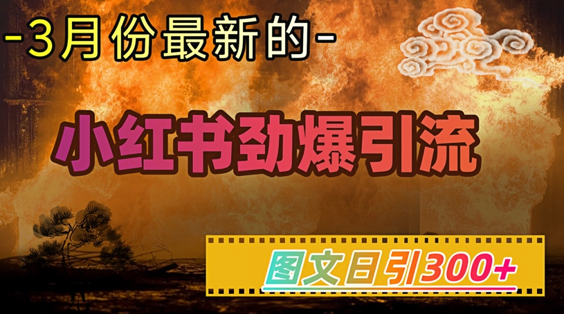 小红书超劲爆引流手段，图文日引300+轻松变现1W-网创汇