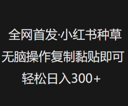 全网首发，小红书种草无脑操作，复制黏贴即可，轻松日入3张-网创汇