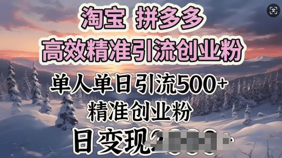 淘宝拼多多高效精准引流创业粉，单人单日引流500+创业粉，日变现多张-网创汇