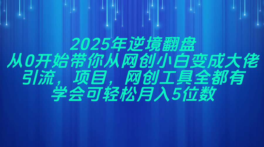 2025年逆境翻盘，从0开始带你从网创小白变成大佬，引流，项目，网创工…-网创汇