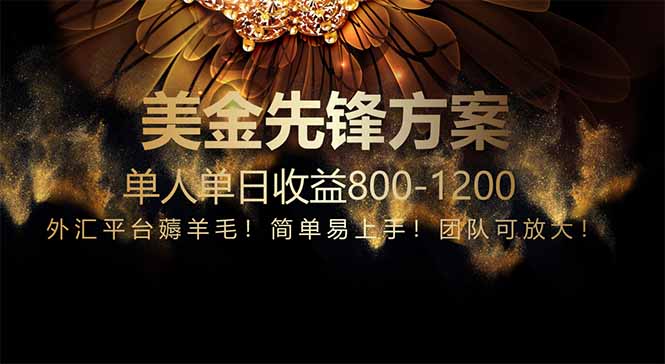免费技术！小众赛道！一年布局抵三年努力，每日800+-网创汇