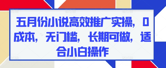 五月份小说高效推广实操，0成本，无门槛，长期可做，适合小白操作-网创汇