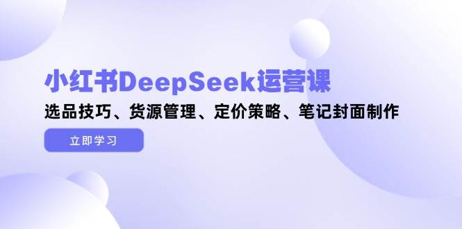小红书DeepSeek运营课，选品技巧、货源管理、定价策略、笔记封面制作-网创汇