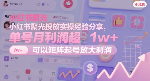 小红书聚光投放实操经验分享，单号月利润超1w+，可以矩阵起号放大利润-网创汇
