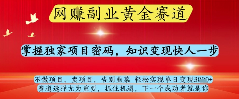 网创副业黄全赛道，掌握独家项目密码，知识变现快人一步，告别韭菜轻松实现单日变现1k+【揭秘】-网创汇