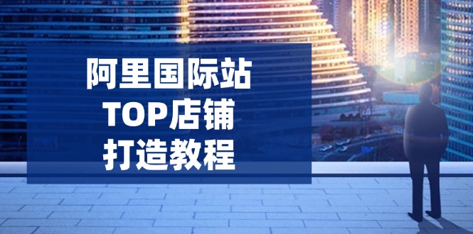 （14269期）阿里国际站TOP店铺打造教程：涵盖平台到高阶，解决运营难题，提升询盘-网创汇