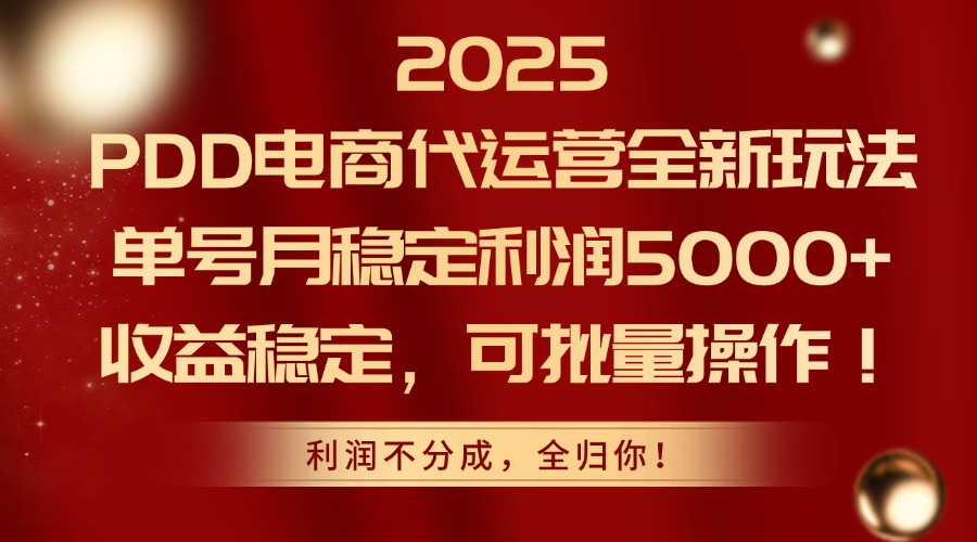 2025PDD电商代运营全新玩法，单号月稳定利润5000+，收益稳定，可批量操作-网创汇
