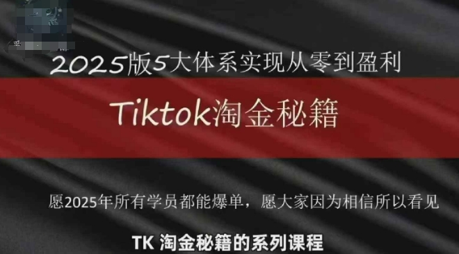 TikTok跨境2025淘金秘籍，​2025TikTok从0到盈利变现-网创汇