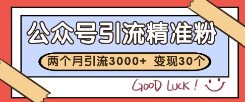 公众号精准粉引流玩法，2个月3000+精准粉，变现30个W【揭秘】-网创汇
