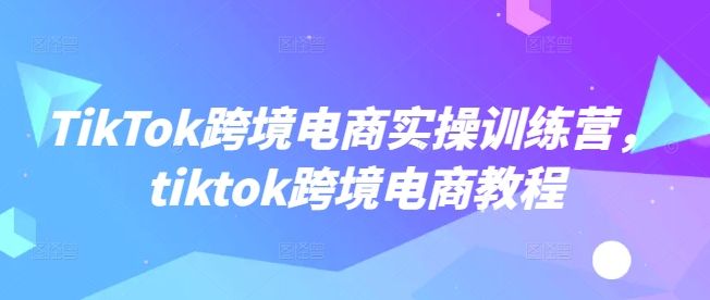 TikTok跨境电商实操训练营，tiktok跨境电商教程-网创汇