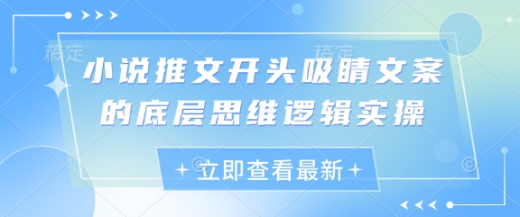 小说推文开头吸睛文案的底层思维逻辑实操-网创汇