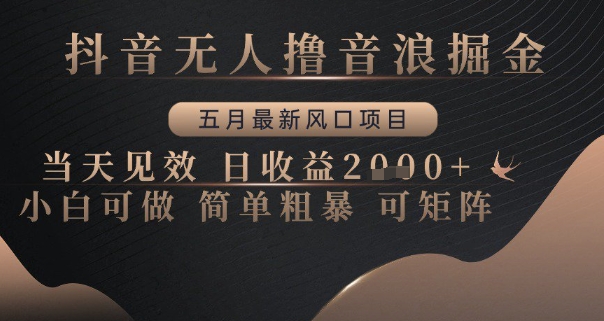 抖音无人撸音浪掘金，五月最新风口项目，当天见效，日收益多张，小白可做简单粗暴可矩阵【揭秘】-网创汇