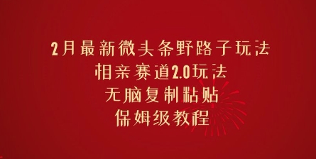 2月最新微头条野路子玩法，相亲赛道2.0玩法，无脑复制粘贴，保姆级教程-网创汇