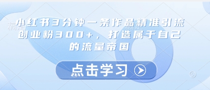 小红书3分钟一条作品精准引流创业粉300+，打造属于自己的流量帝国-网创汇
