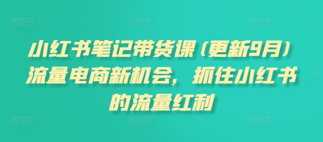 小红书笔记带货课(更新25年4月)流量电商新机会，抓住小红书的流量红利-网创汇