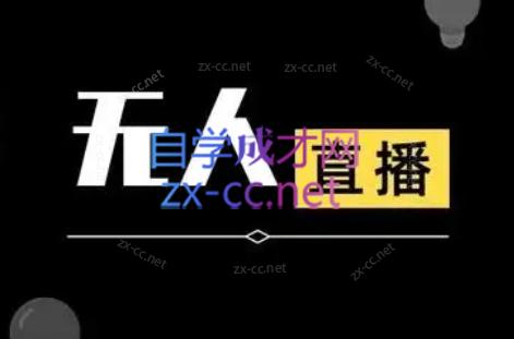宝子哥·无人直播-非实时防风技术(更新5月)-网创汇