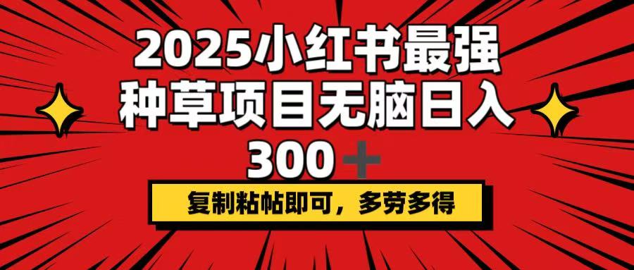 （14375期）2025小红书最强种草项目，无脑日入300+，复制粘帖即可，多劳多得-网创汇