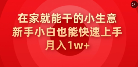 在家就能干的小生意，新手小白也能快速上手，月入1w-网创汇