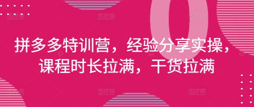 拼多多特训营，经验分享实操，课程时长拉满，干货拉满(更新25年4月)-网创汇