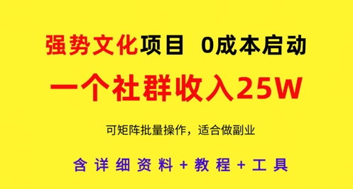 强势文化项目，一个社群收入25个W，0成本启动，可矩阵批量操作，原创详细实操教程-网创汇