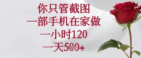 你只管截图，一部手机在家可以做，一小时120.一天5张+【揭秘】-网创汇
