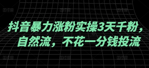 抖音暴力涨粉实操3天千粉，自然流，不花一分钱投流，实操经验分享-网创汇