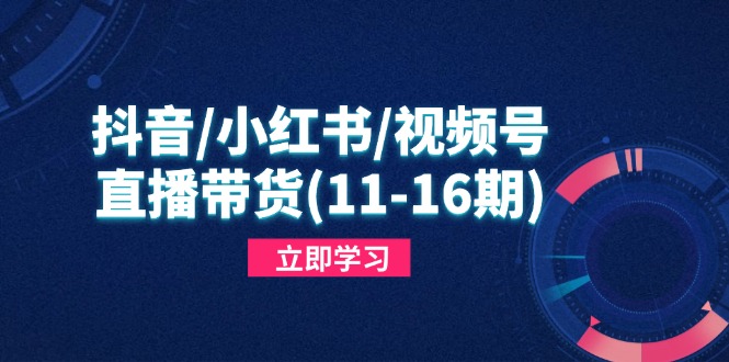 抖音/小红书/视频号/直播带货(11-16期-网创汇