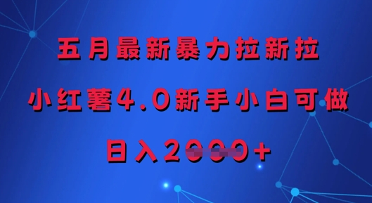 五月最新暴力拉新拉，小红薯4.0新手小白可做，日入多张-网创汇