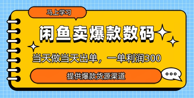 闲鱼卖爆款货源，当天做当天出单，一单利润3张-网创汇