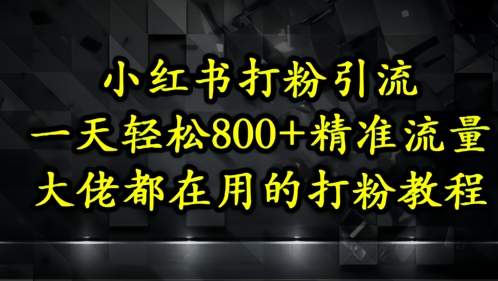 小红书打粉引流，一天轻松500+精准流量，大佬都在用的打粉教程-网创汇