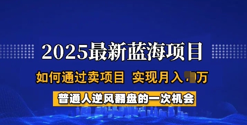 2025蓝海项目，普通人如何通过卖项目，实现月入过W，全过程【揭秘】-网创汇