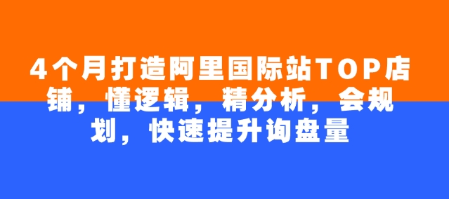 4个月打造阿里国际站TOP店铺，懂逻辑，精分析，会规划，快速提升询盘量-网创汇