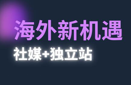 棕榈·2025出海新机遇(社媒+独立站)-网创汇