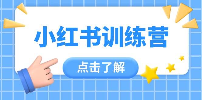 小红书训练营，助小白入门，掌握技巧变达人，课程实操又全面(12节课)-网创汇